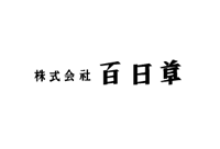 百日草